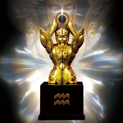 Saint Seiya-Aquarius Cloth(in stock)